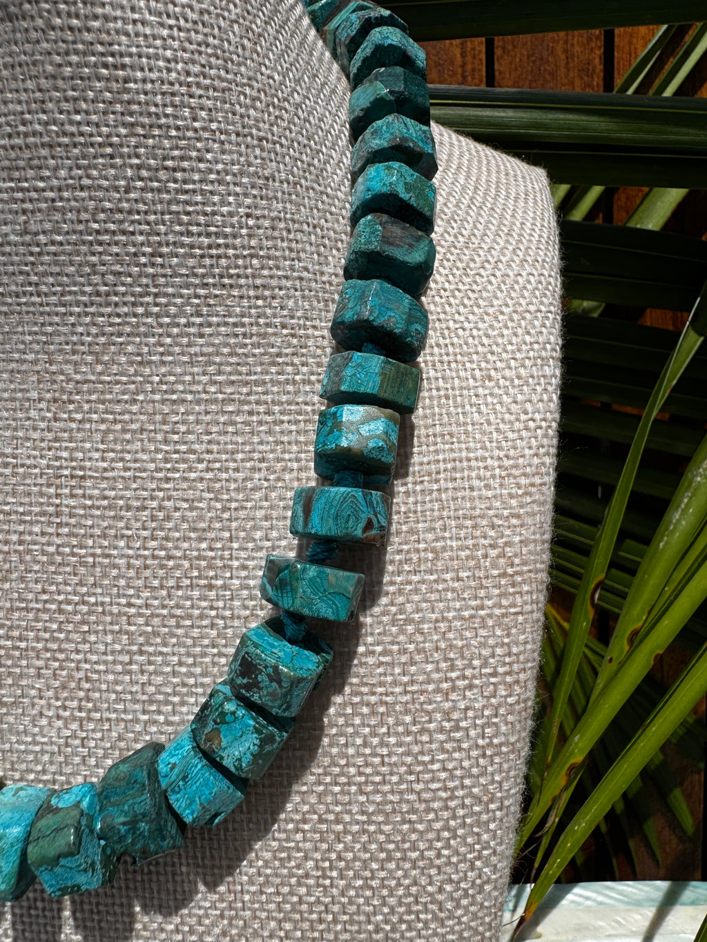 Oasis